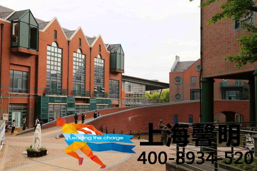 上海奉贤小木屋基地