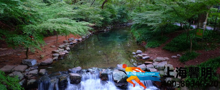 1487561704562425.jpg 12920317_204619381000_2.jpg