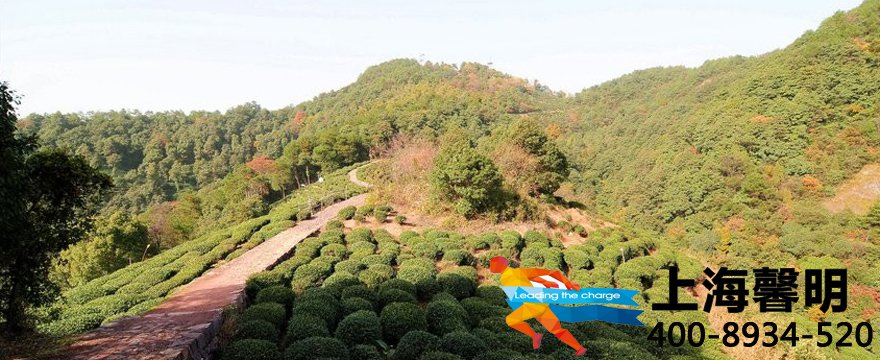 1487562112579379.jpg 2013112521_3d78b6cd84c1f81aa4efFESqYwMQOV8A.jpg